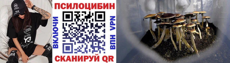 Купить закладки  Славянск-на-Кубани  Псилоцибиновые грибы мухоморы 